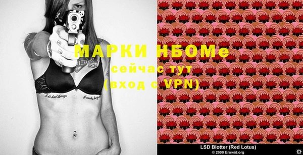 шишки Михайлов