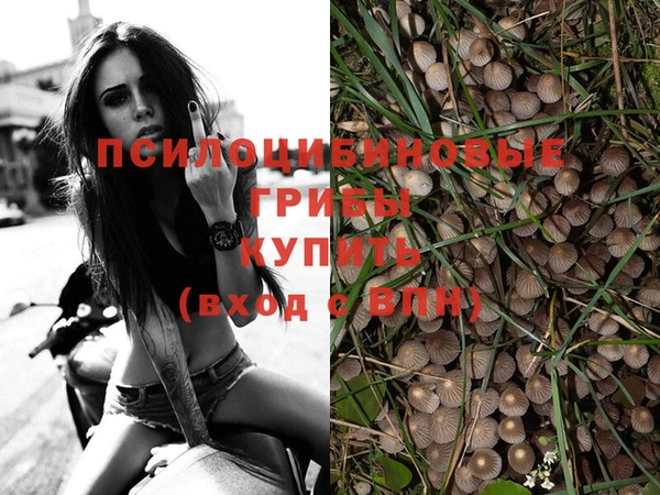 шишки Михайлов