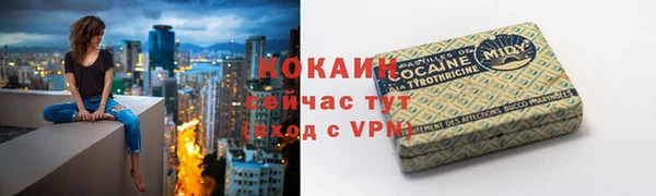 шишки Михайлов