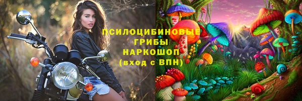 шишки Михайлов