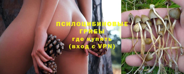 ALPHA PVP Медногорск